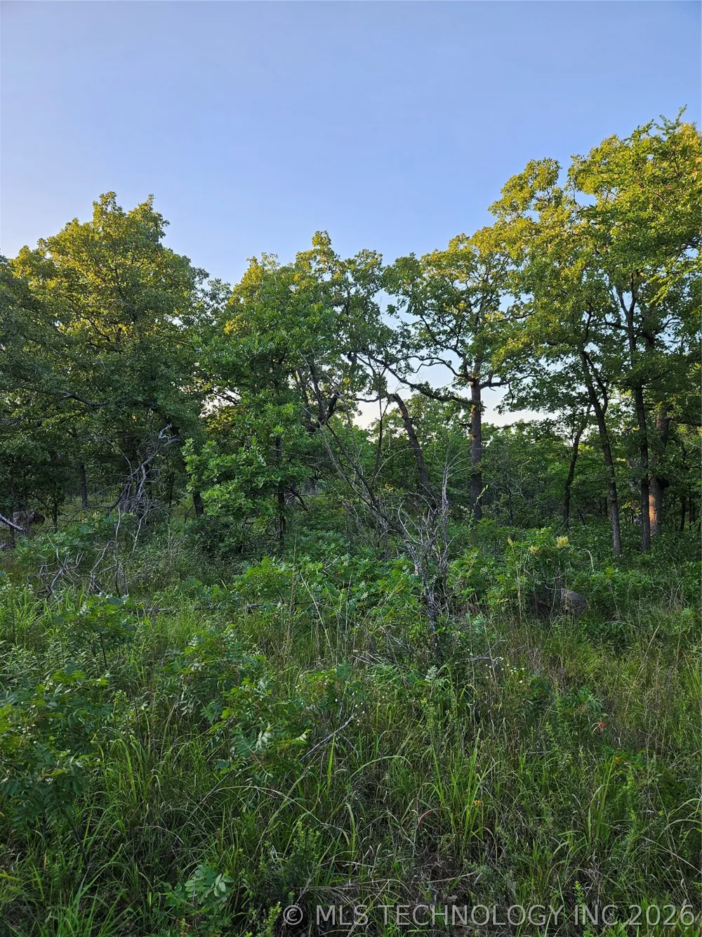 Hickory Lane Stuart, OK 74570
