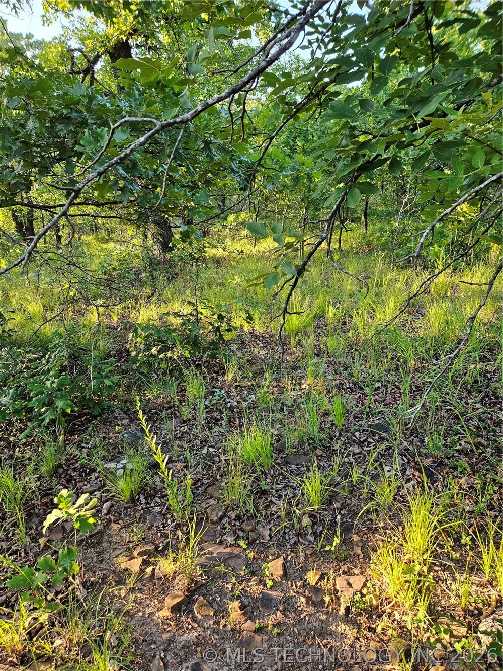 Hickory Lane Stuart, OK 74570