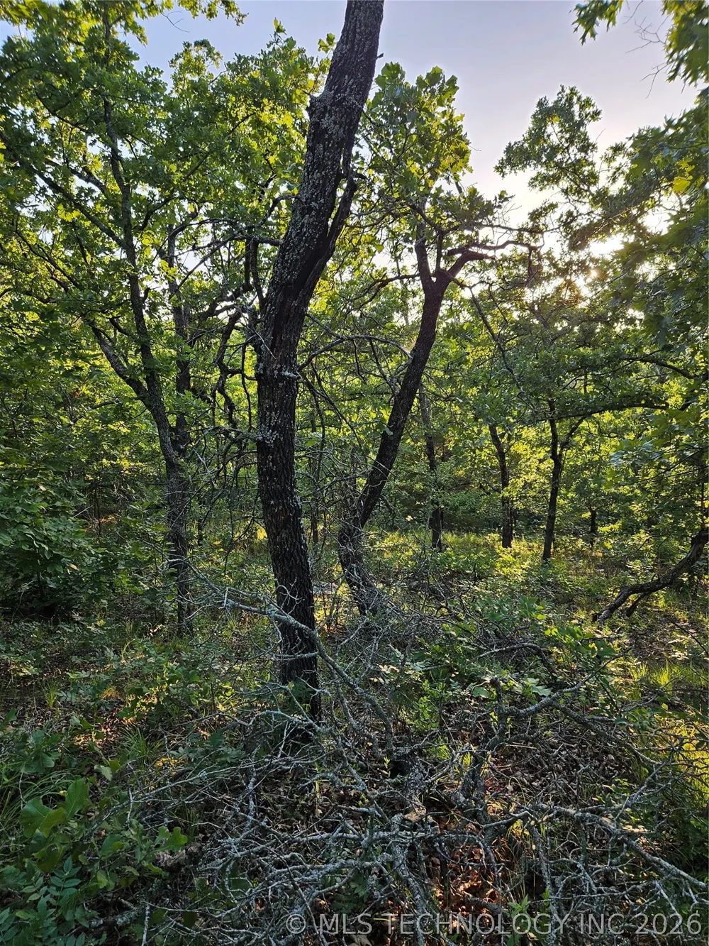Hickory Lane Stuart, OK 74570