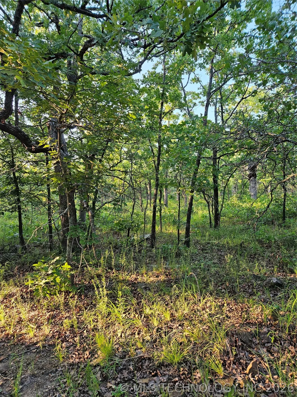 Hickory Lane Stuart, OK 74570