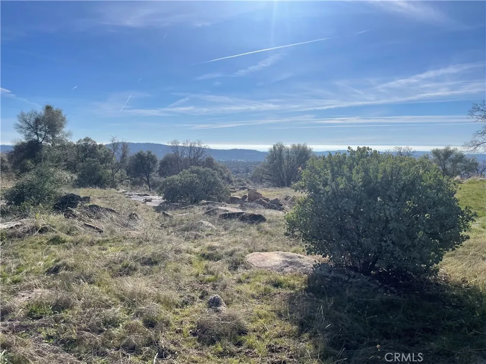 Buggy Whip Dr. Coarsegold, CA 93614