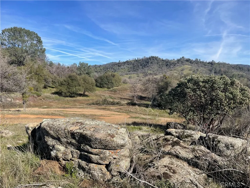 Buggy Whip Dr. Coarsegold, CA 93614