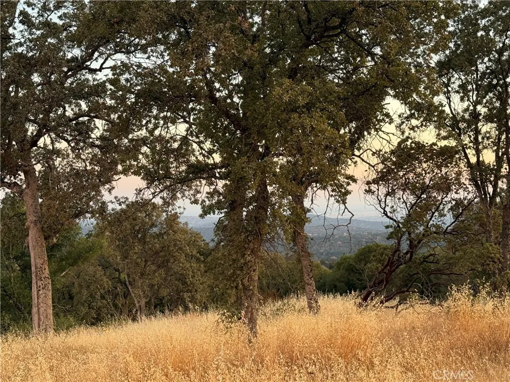Buggy Whip Dr. Coarsegold, CA 93614