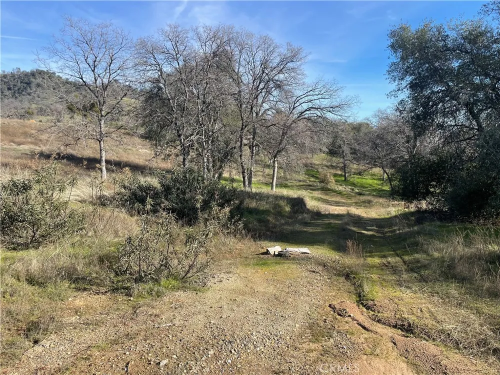 Buggy Whip Dr. Coarsegold, CA 93614