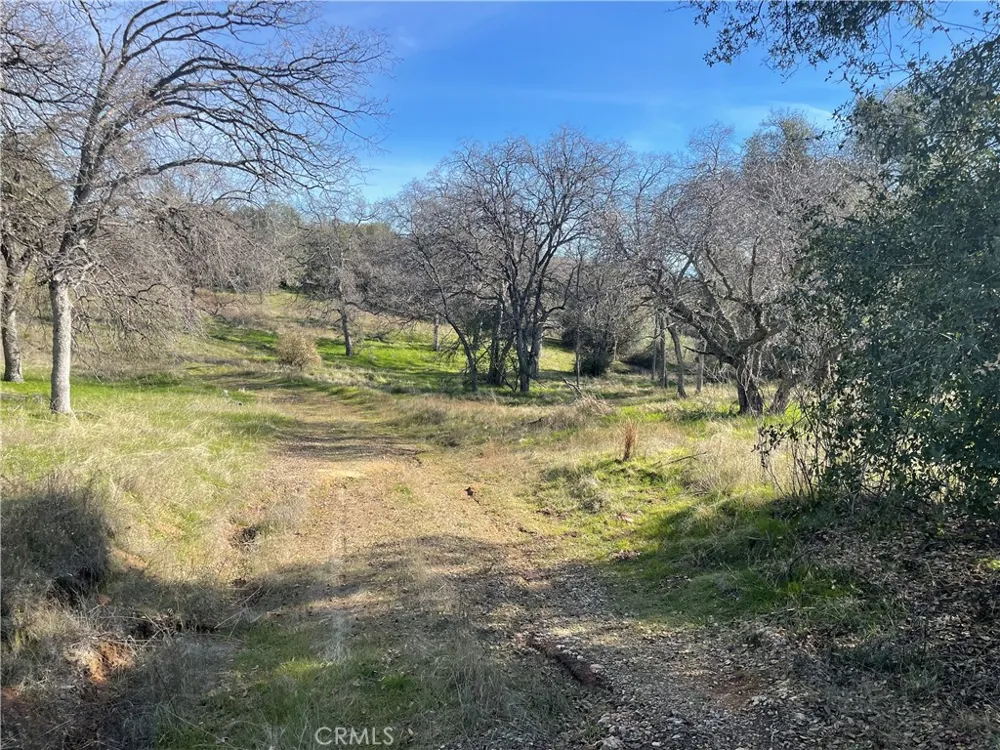Buggy Whip Dr. Coarsegold, CA 93614