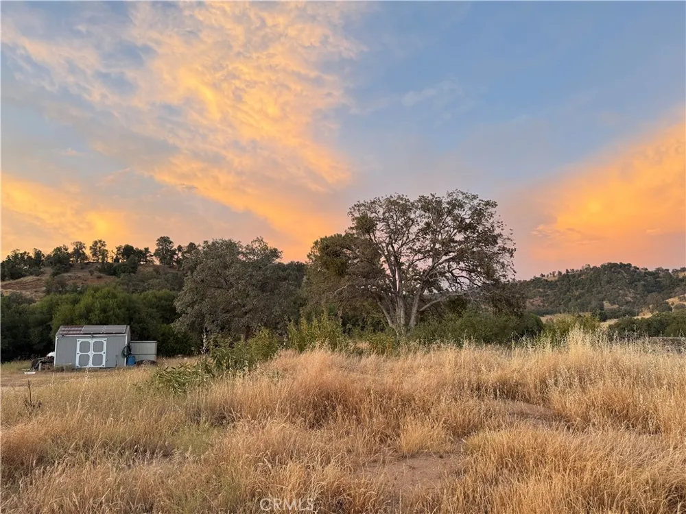 Buggy Whip Dr. Coarsegold, CA 93614