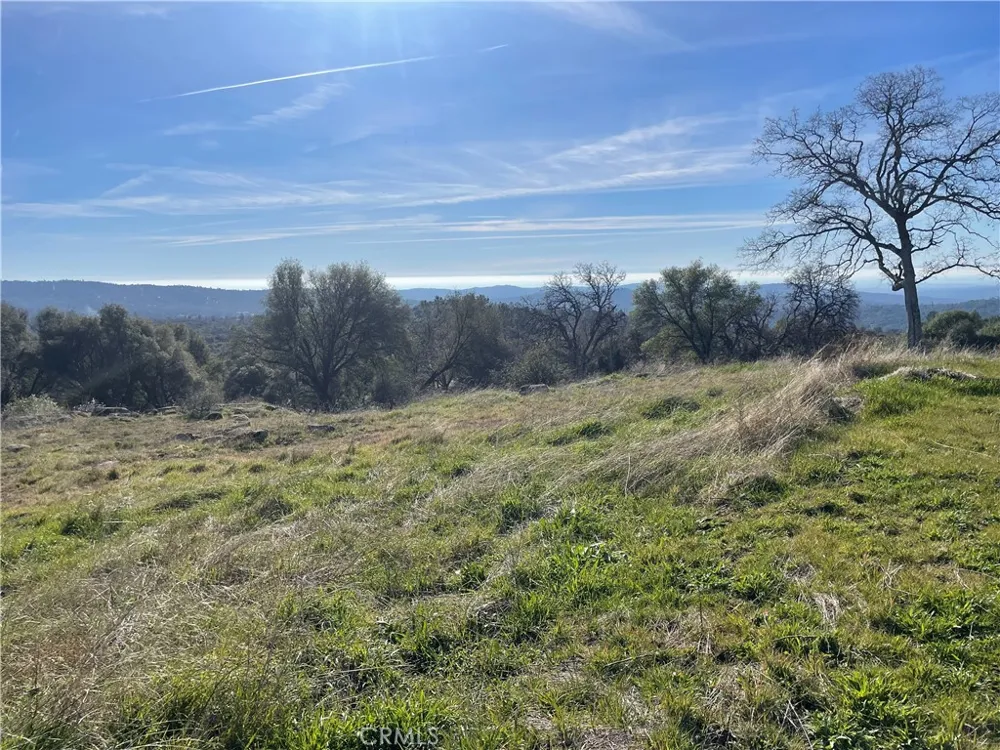Buggy Whip Dr. Coarsegold, CA 93614