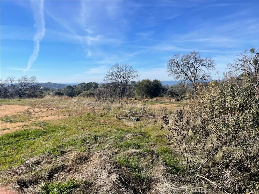 Buggy Whip Dr. Coarsegold, CA 93614