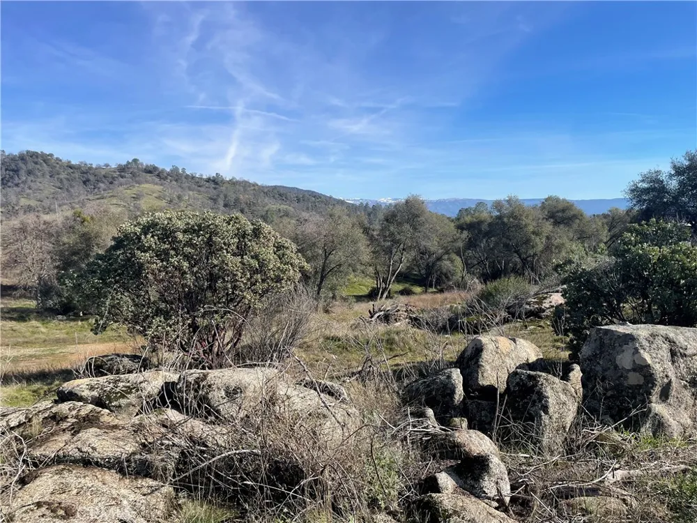 Buggy Whip Dr. Coarsegold, CA 93614