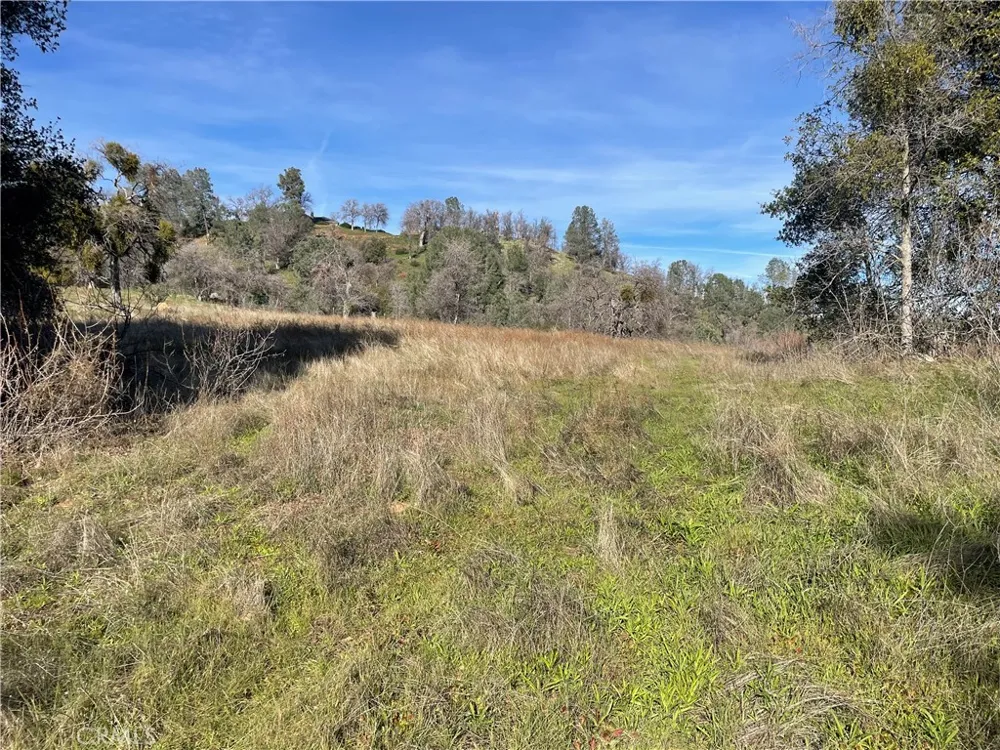 Buggy Whip Dr. Coarsegold, CA 93614