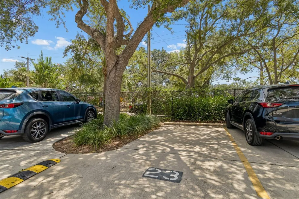 160 COLUMBIA DRIVE #206 Tampa, FL 33606