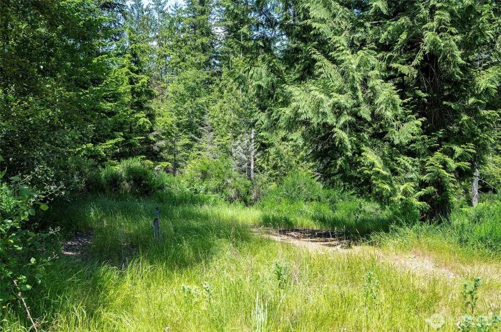 200 Peter Hagen Road NW Seabeck, WA 98380