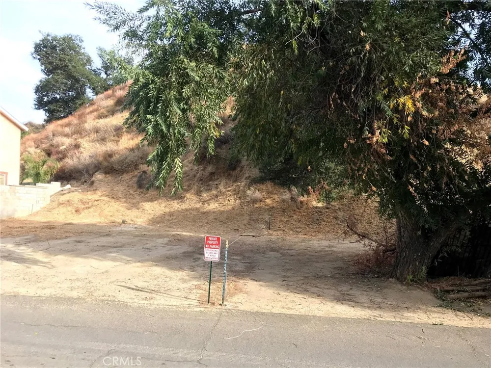 29216000 Justamere Val Verde, CA 91384