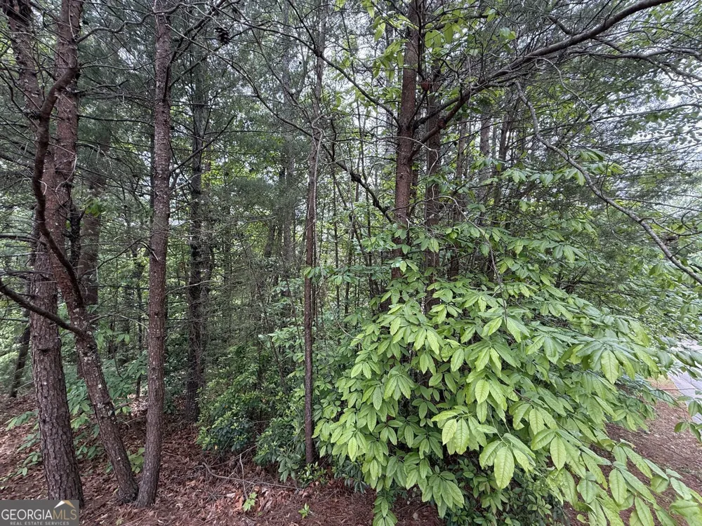0 HINTERSTRATEN WEG Helen, GA 30545