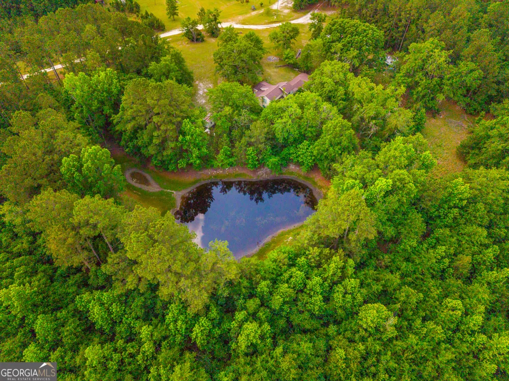 3869 Hiltonia-Perkins RD Sylvania, GA 30467
