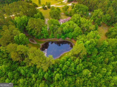 3869 Hiltonia-Perkins RD