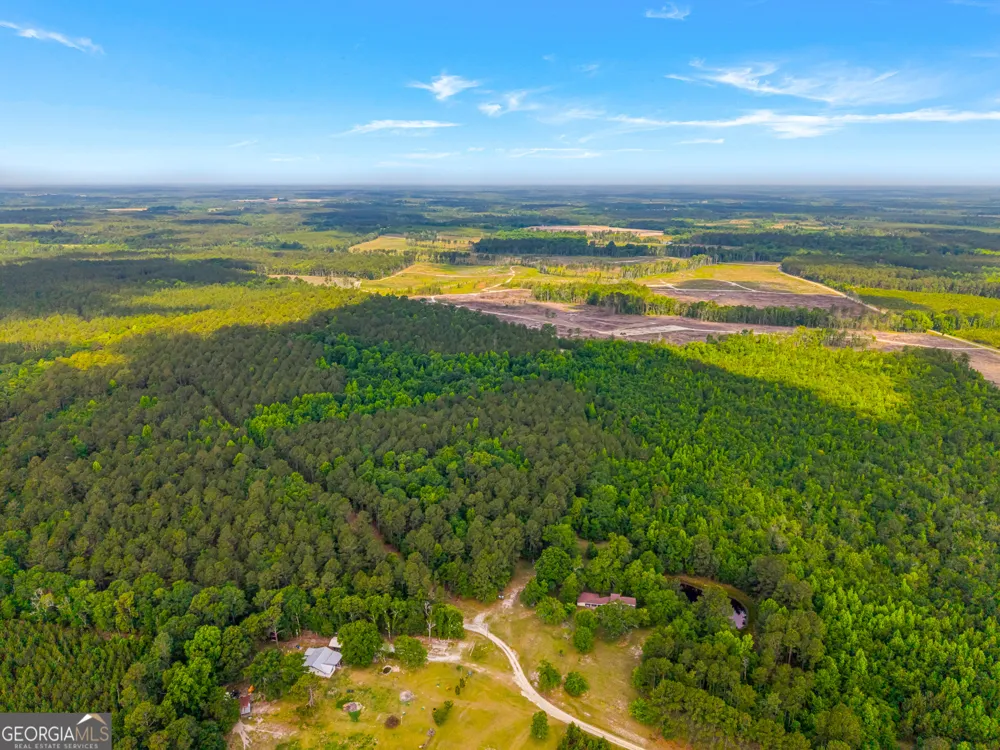 3869 Hiltonia-Perkins RD Sylvania, GA 30467