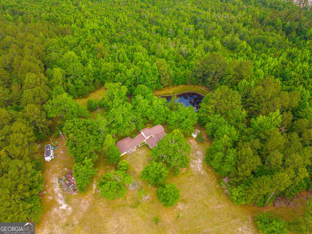 3869 Hiltonia-Perkins RD Sylvania, GA 30467