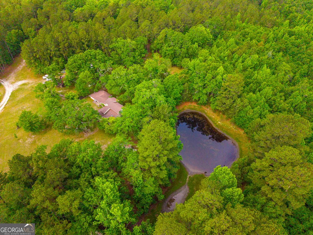 3869 Hiltonia-Perkins RD Sylvania, GA 30467