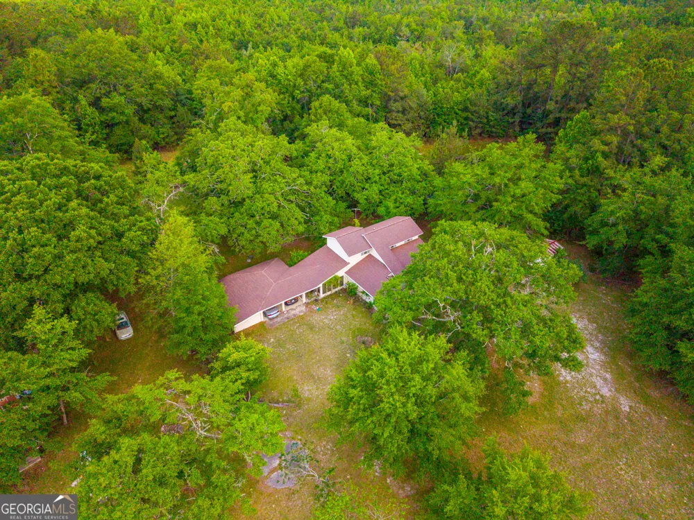 3869 Hiltonia-Perkins RD Sylvania, GA 30467
