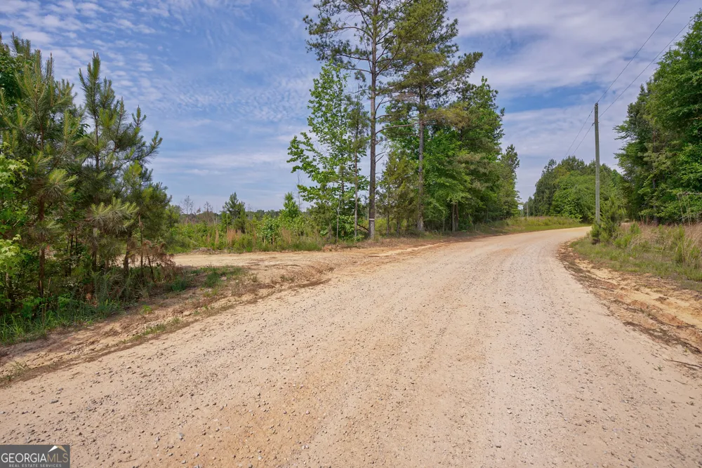 0 Gene Smith RD Carlton, GA 30627