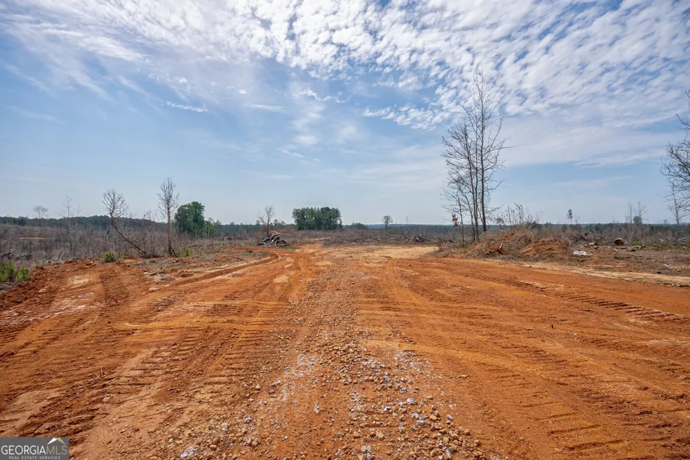 0 Gene Smith RD Carlton, GA 30627