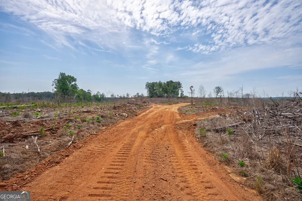 0 Gene Smith RD Carlton, GA 30627