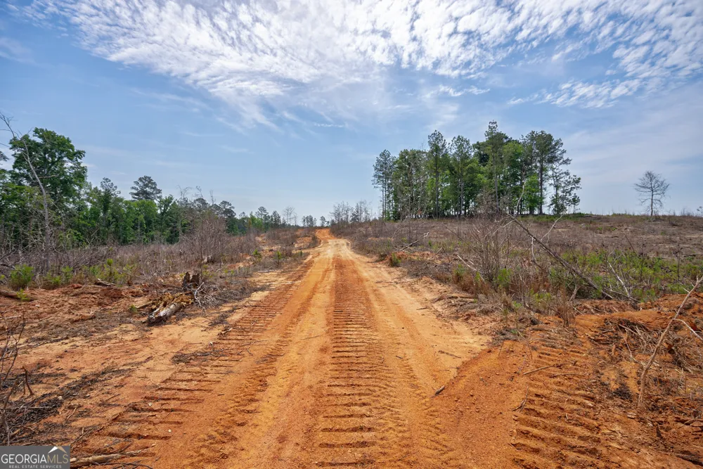0 Gene Smith RD Carlton, GA 30627