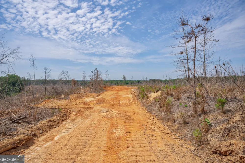 0 Gene Smith RD Carlton, GA 30627