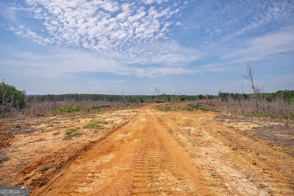 0 Gene Smith RD Carlton, GA 30627
