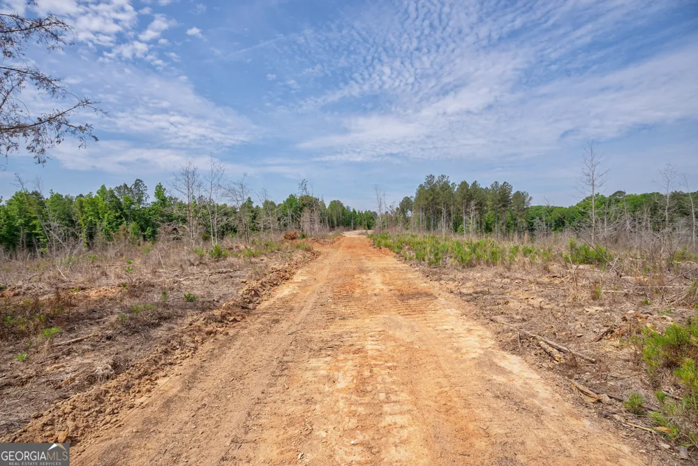 0 Gene Smith RD Carlton, GA 30627