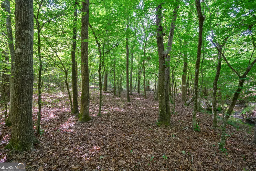 0 Gene Smith RD Carlton, GA 30627