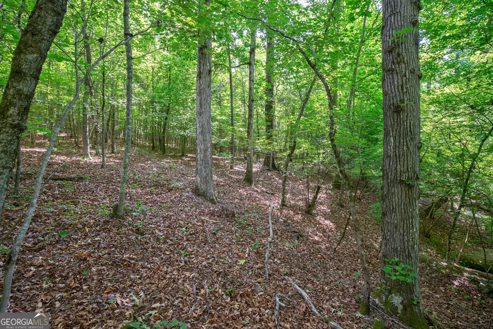 0 Gene Smith RD Carlton, GA 30627