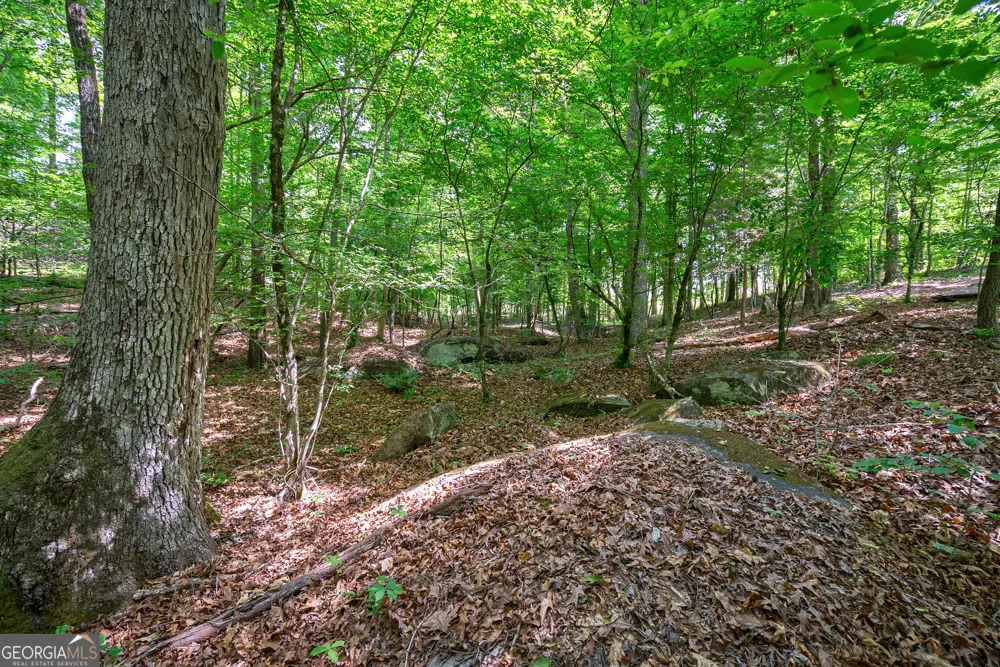 0 Gene Smith RD Carlton, GA 30627