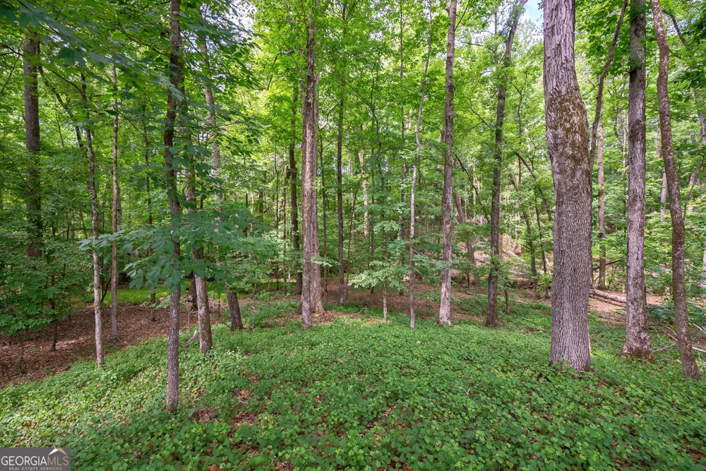 0 Gene Smith RD Carlton, GA 30627