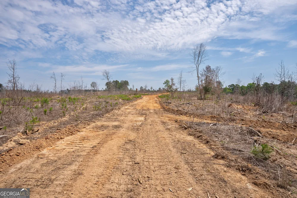 0 Gene Smith RD Carlton, GA 30627