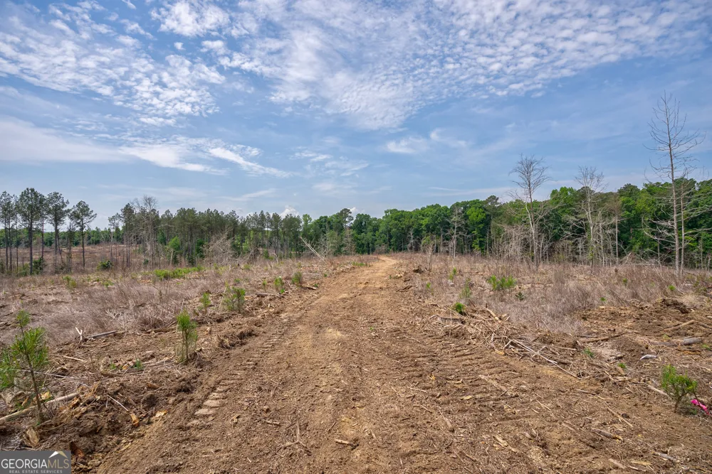 0 Gene Smith RD Carlton, GA 30627