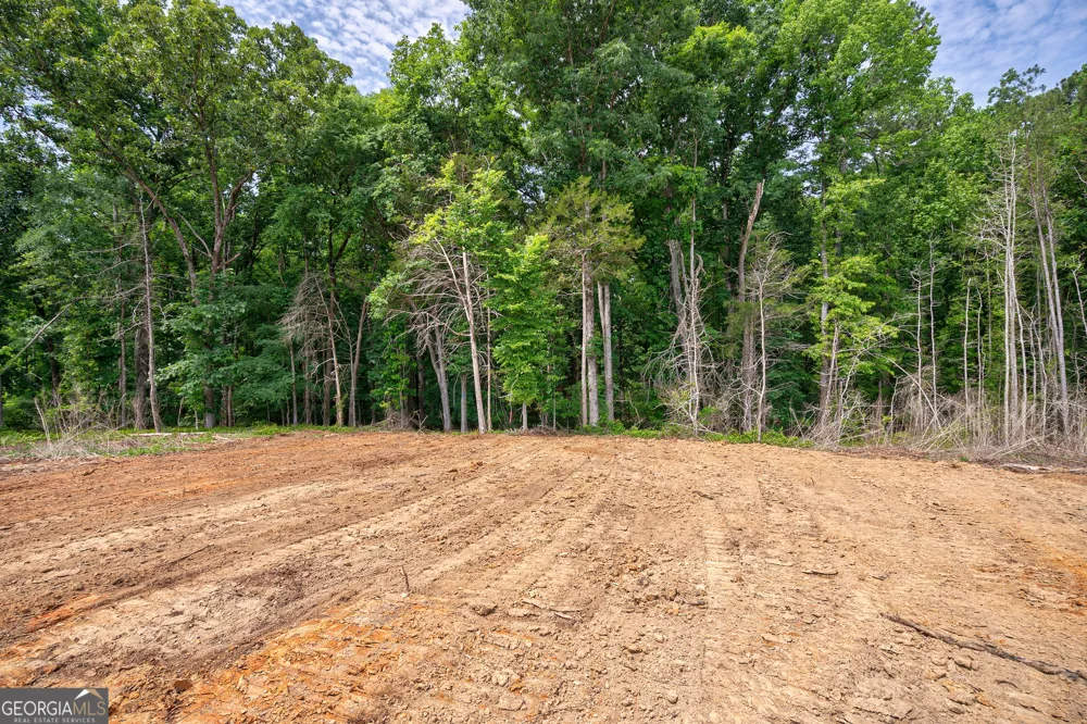 0 Gene Smith RD Carlton, GA 30627