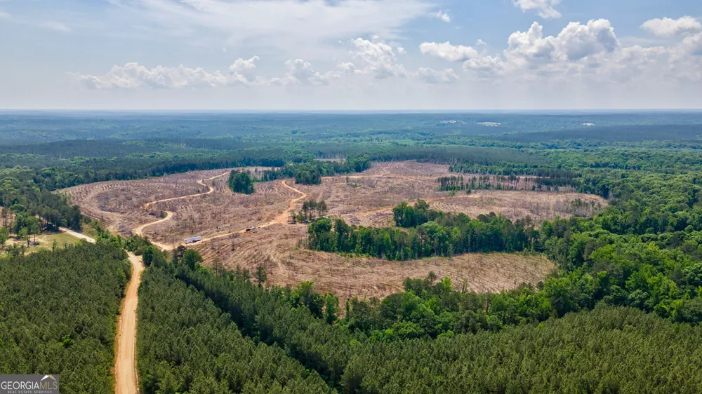 0 Gene Smith RD Carlton, GA 30627