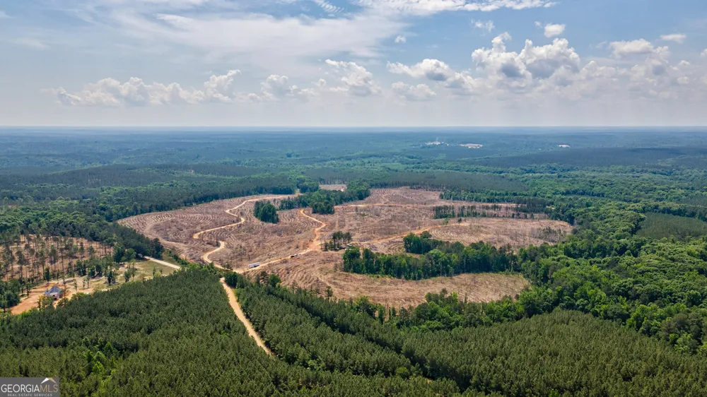 0 Gene Smith RD Carlton, GA 30627