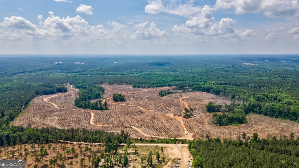 0 Gene Smith RD Carlton, GA 30627