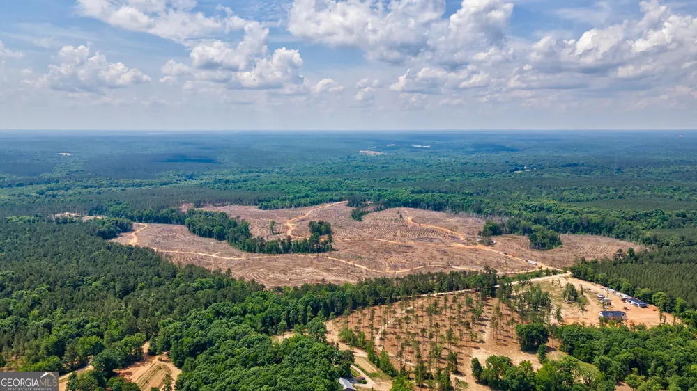 0 Gene Smith RD Carlton, GA 30627