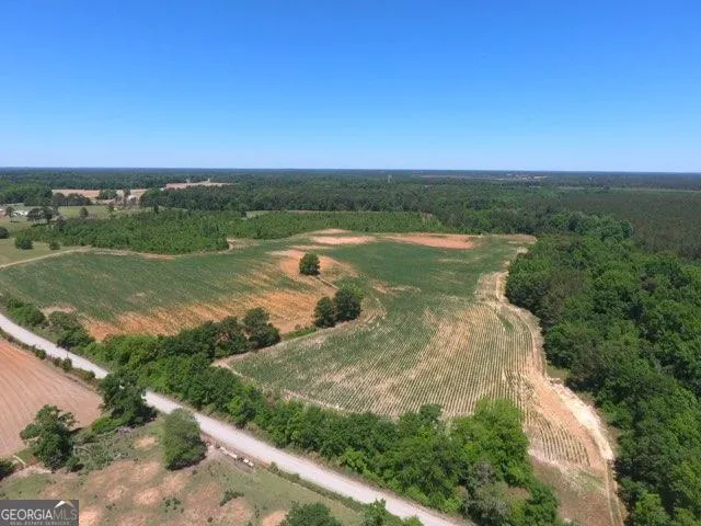 0 Ben Hadden RD Stapleton, GA 30823
