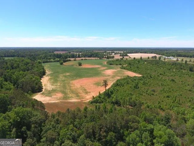 0 Ben Hadden RD Stapleton, GA 30823