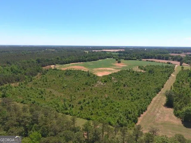 0 Ben Hadden RD Stapleton, GA 30823