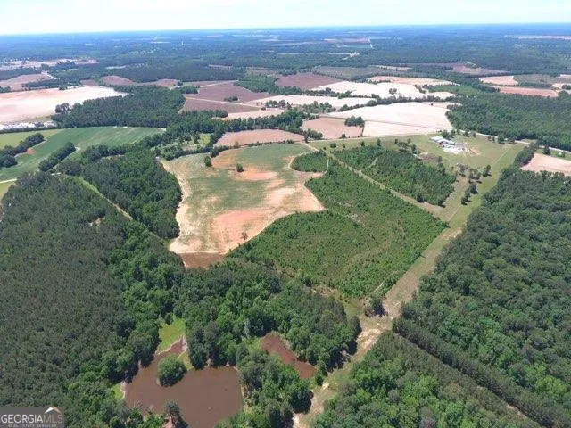 0 Ben Hadden RD Stapleton, GA 30823