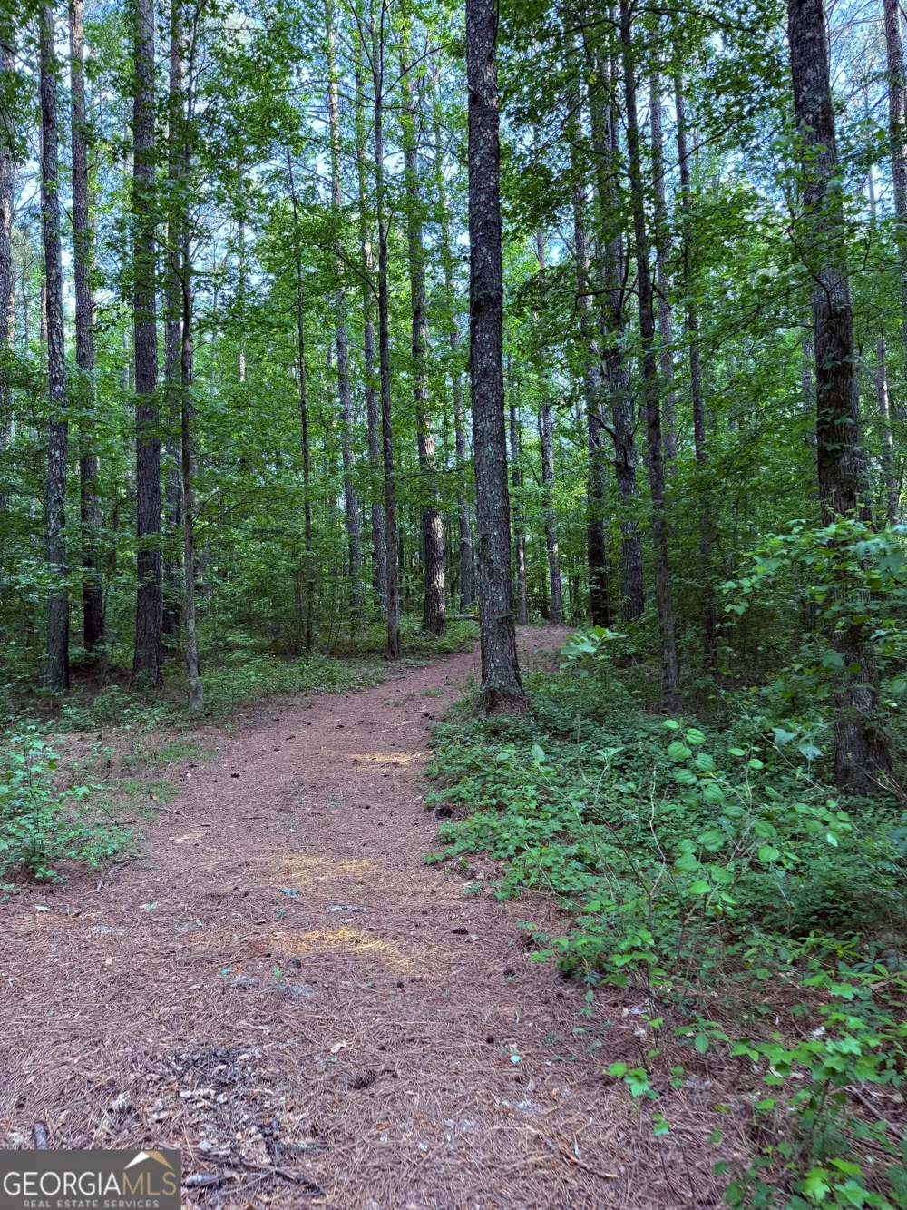 340 Adolphus Callaway RD Rayle, GA 30660