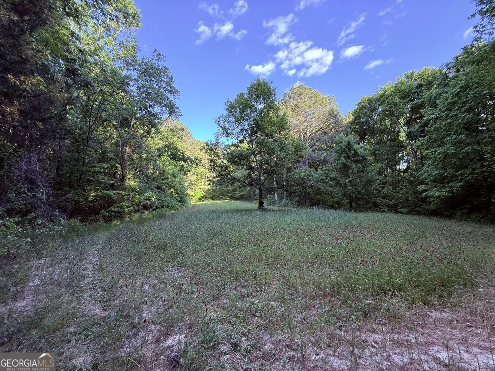 340 Adolphus Callaway RD Rayle, GA 30660