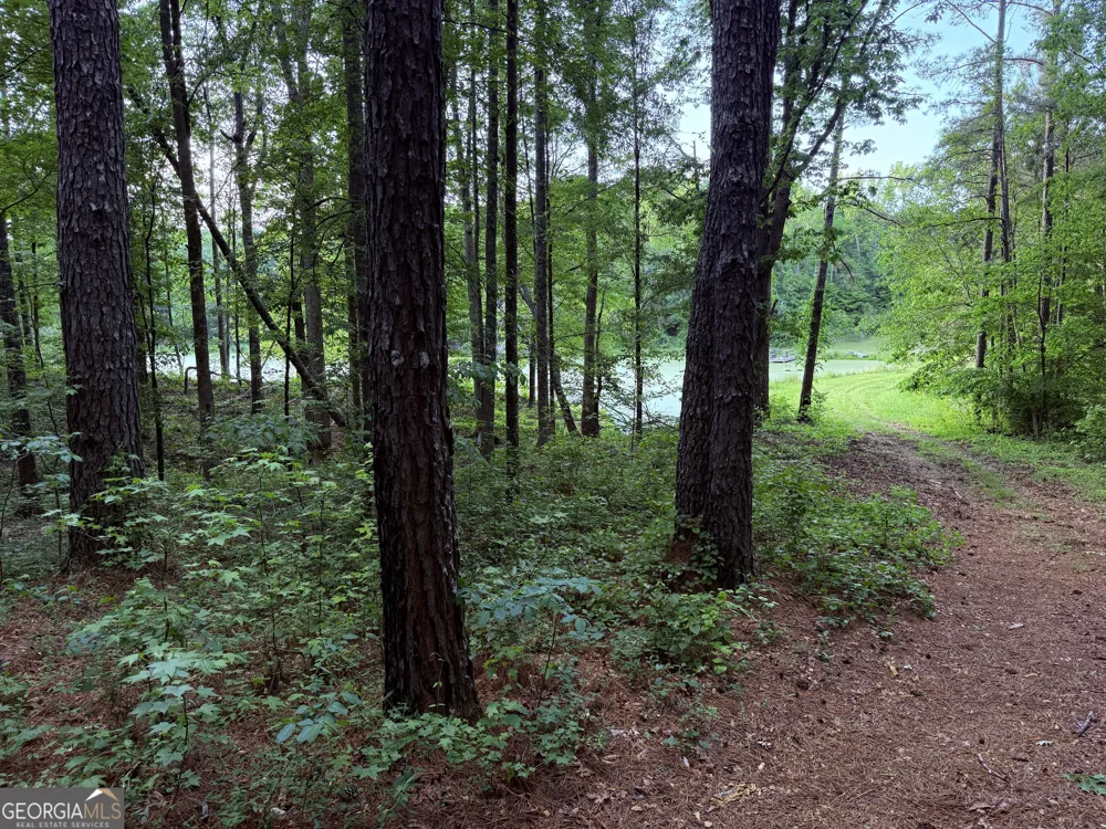 340 Adolphus Callaway RD Rayle, GA 30660