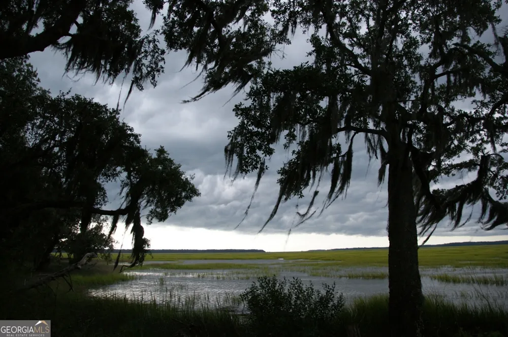 LOT 33 Coopers Point DR Townsend, GA 31331